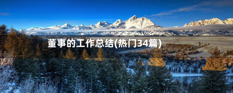 董事的工作总结(热门34篇)