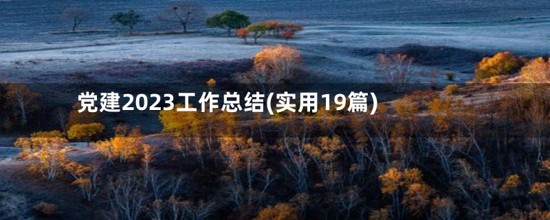 党建2023工作总结(实用19篇)