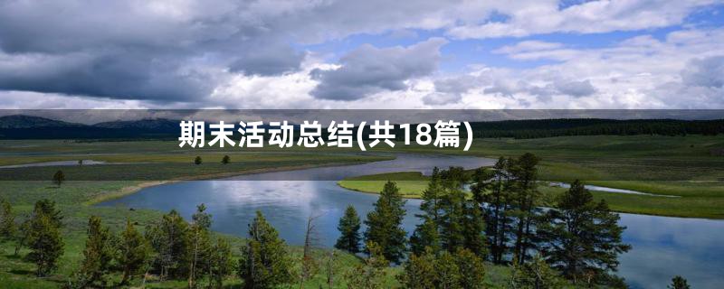 期末活动总结(共18篇)