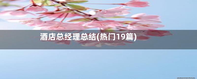 酒店总经理总结(热门19篇)