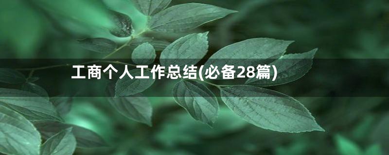 工商个人工作总结(必备28篇)