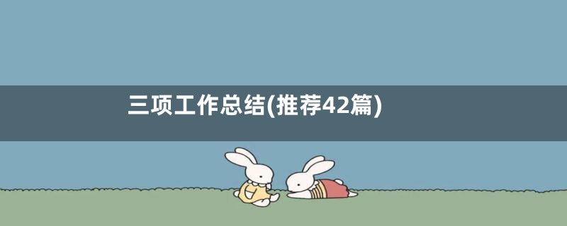 三项工作总结(推荐42篇)