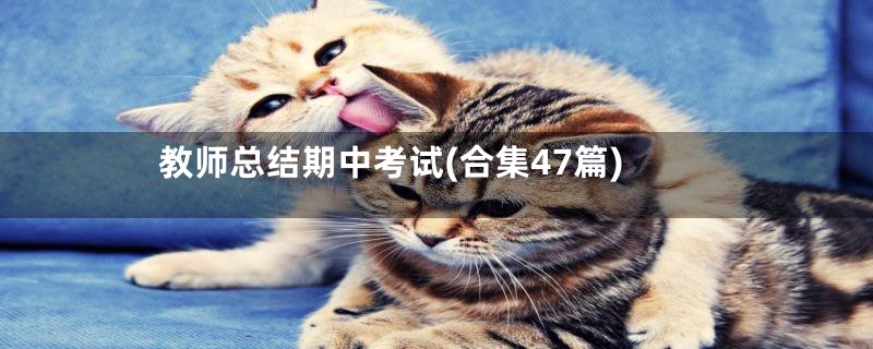 教师总结期中考试(合集47篇)