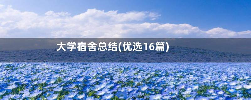 大学宿舍总结(优选16篇)
