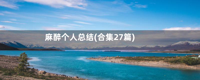 麻醉个人总结(合集27篇)