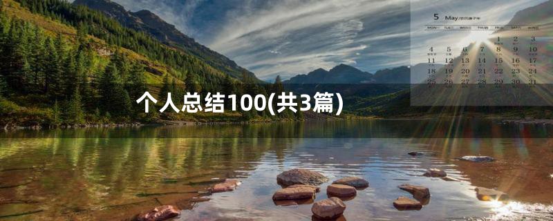 个人总结100(共3篇)