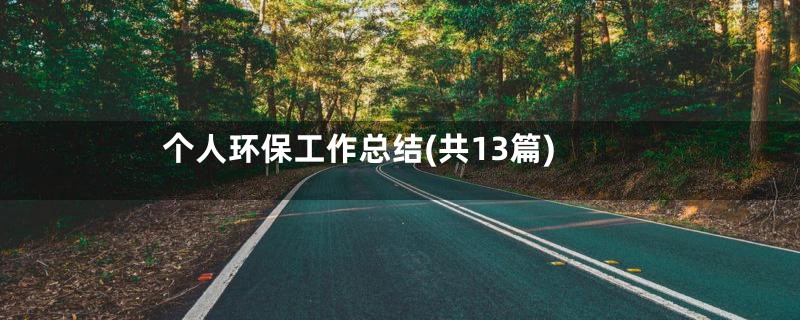 个人环保工作总结(共13篇)