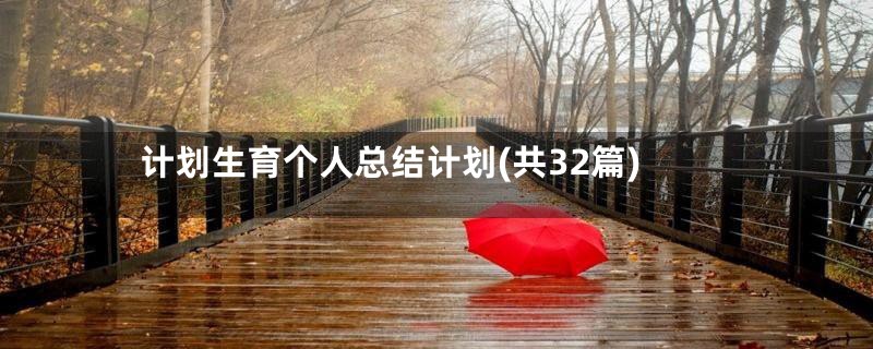 计划生育个人总结计划(共32篇)