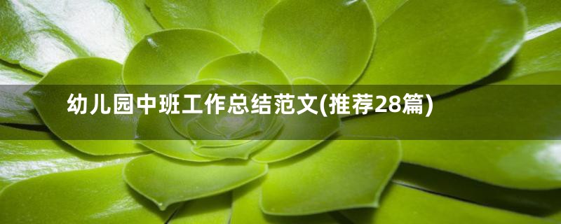 幼儿园中班工作总结范文(推荐28篇)