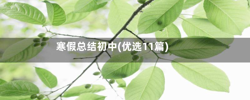 寒假总结初中(优选11篇)