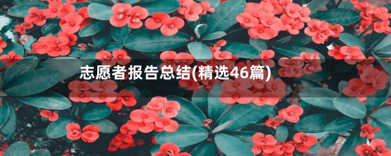志愿者报告总结(精选46篇)