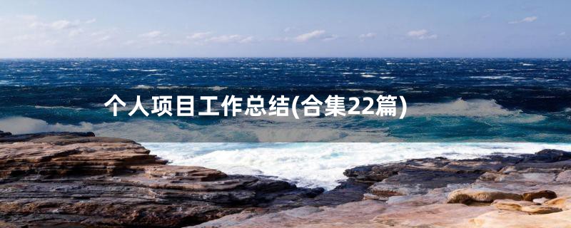 个人项目工作总结(合集22篇)