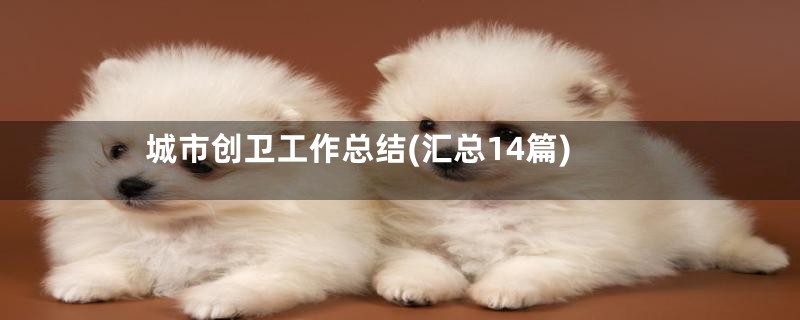 城市创卫工作总结(汇总14篇)