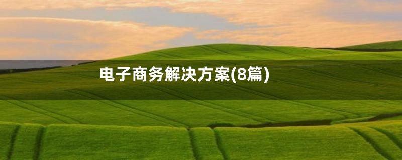 电子商务解决方案(8篇)