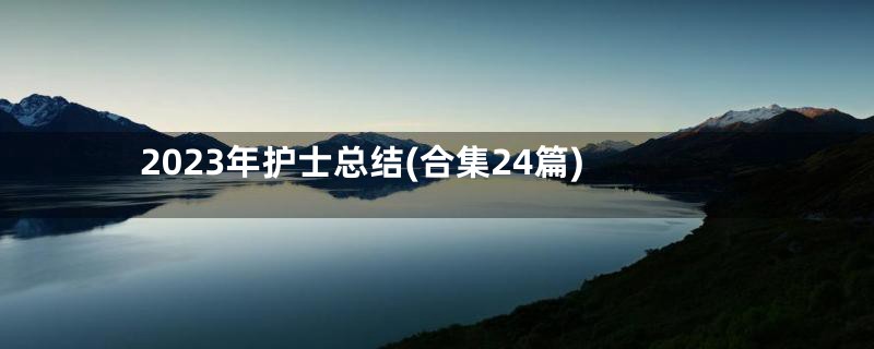 2023年护士总结(合集24篇)