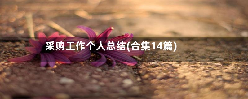 采购工作个人总结(合集14篇)