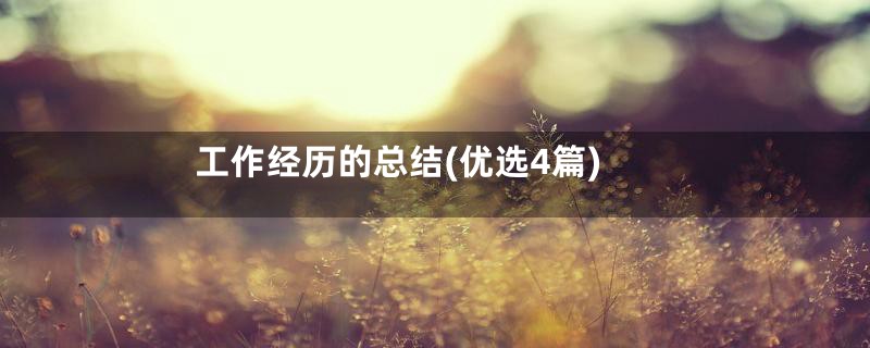 工作经历的总结(优选4篇)