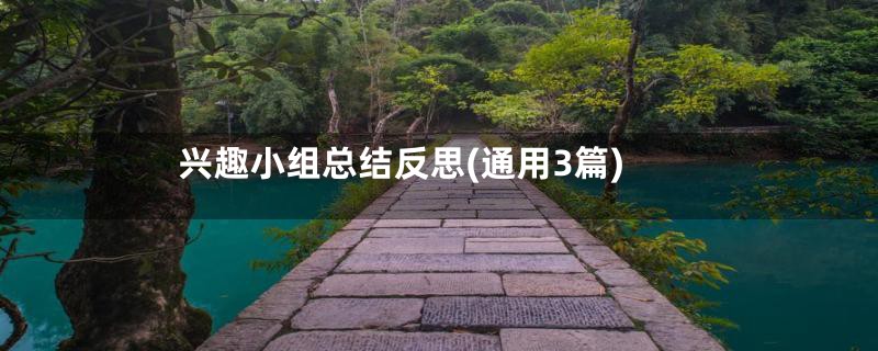 兴趣小组总结反思(通用3篇)