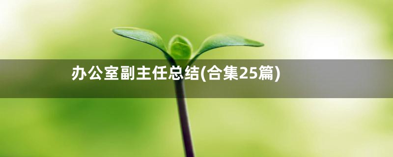办公室副主任总结(合集25篇)