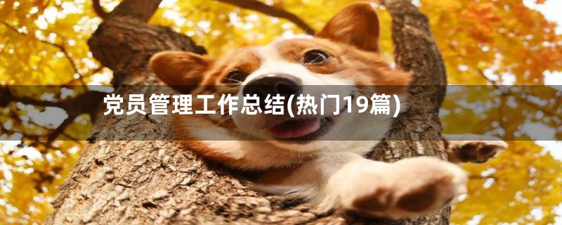 党员管理工作总结(热门19篇)
