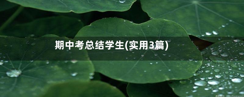 期中考总结学生(实用3篇)