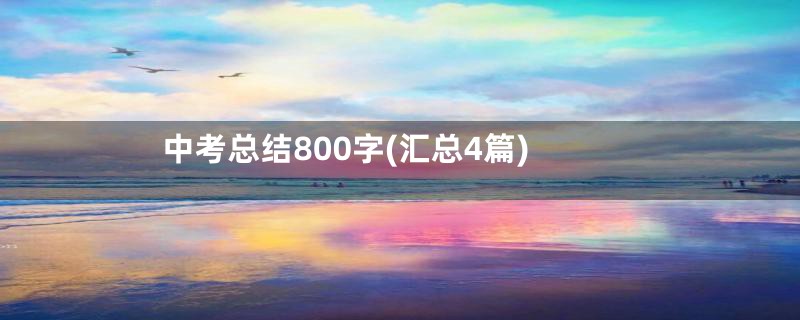 中考总结800字(汇总4篇)
