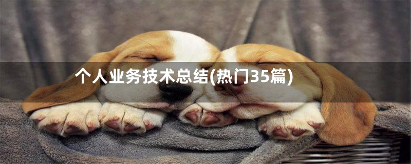 个人业务技术总结(热门35篇)