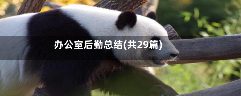 办公室后勤总结(共29篇)