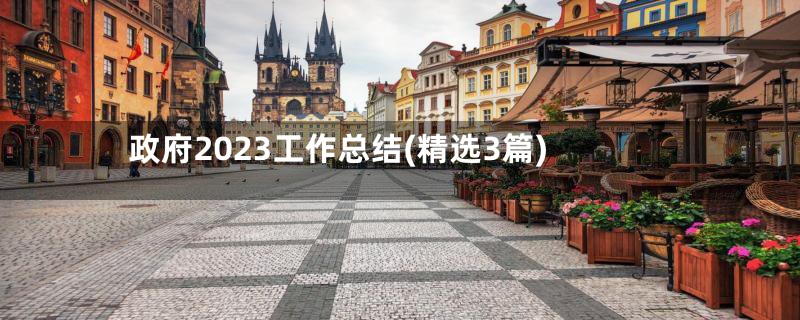 政府2023工作总结(精选3篇)