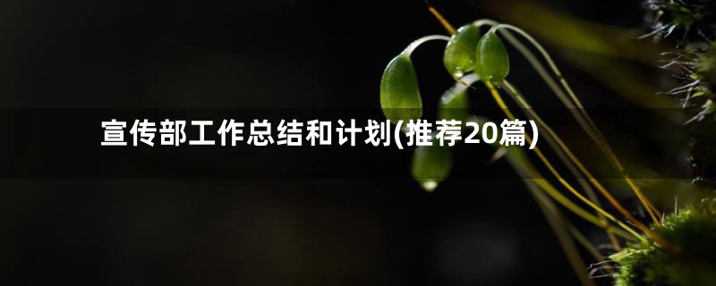 宣传部工作总结和计划(推荐20篇)