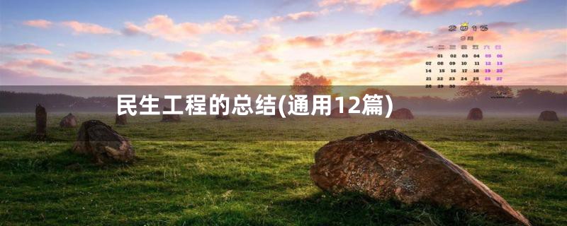 民生工程的总结(通用12篇)