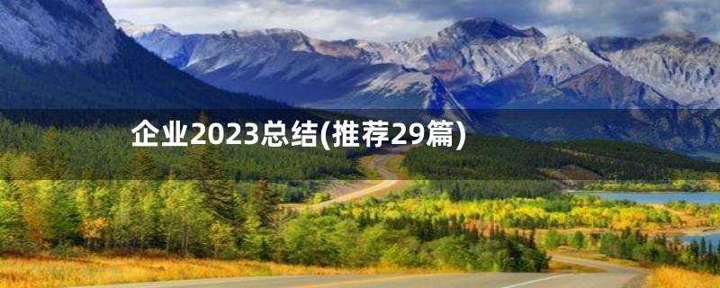 企业2023总结(推荐29篇)