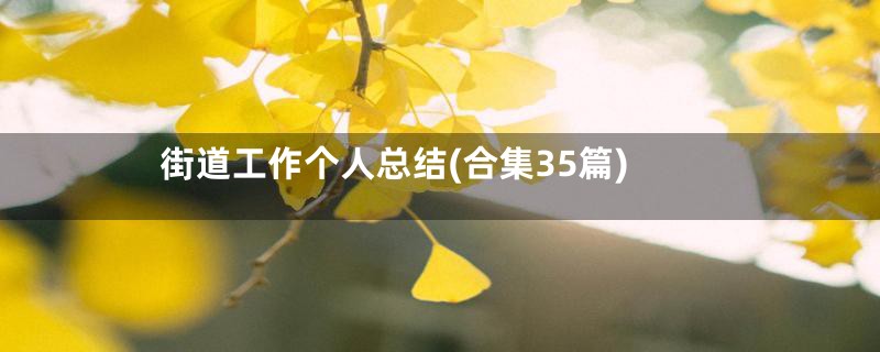 街道工作个人总结(合集35篇)