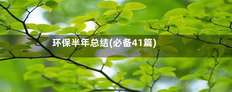 环保半年总结(必备41篇)