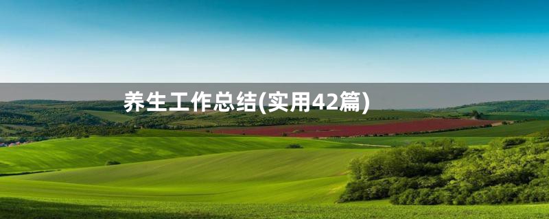 养生工作总结(实用42篇)
