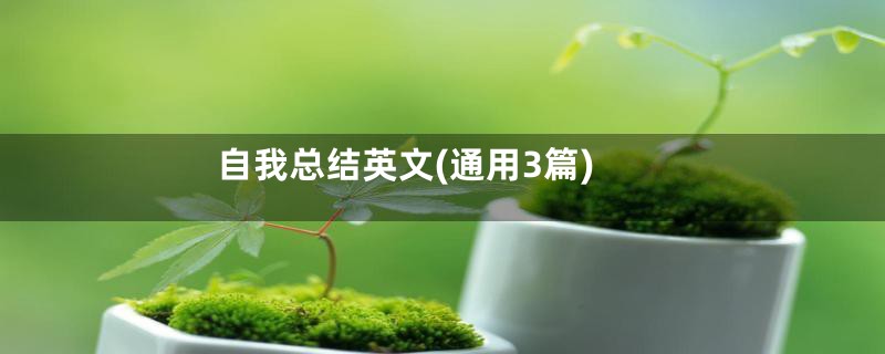 自我总结英文(通用3篇)