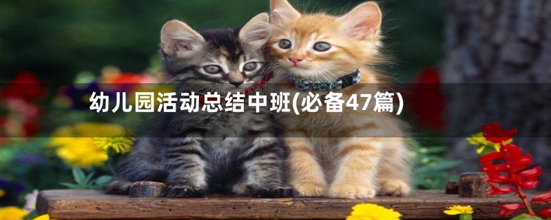 幼儿园活动总结中班(必备47篇)