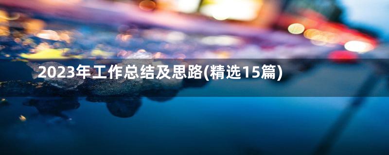 2023年工作总结及思路(精选15篇)