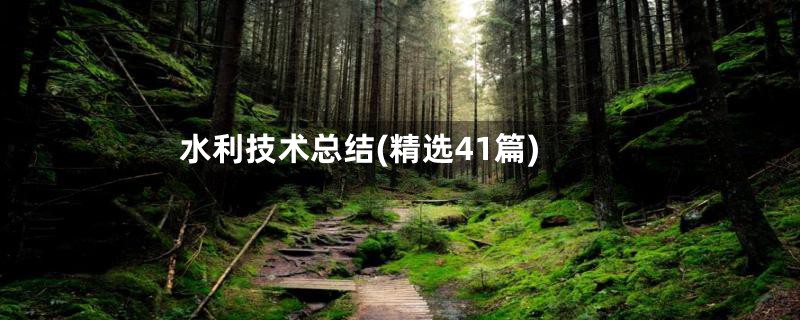 水利技术总结(精选41篇)