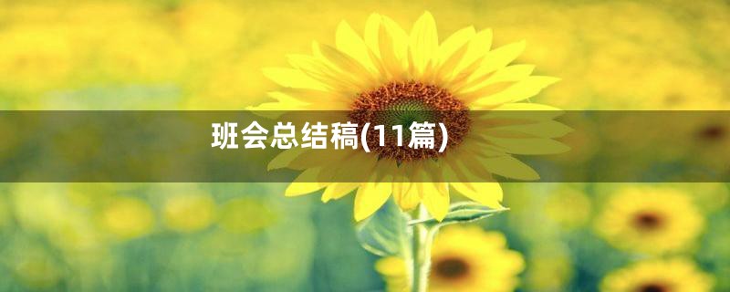 班会总结稿(11篇)