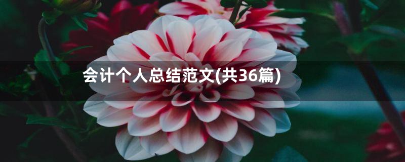 会计个人总结范文(共36篇)