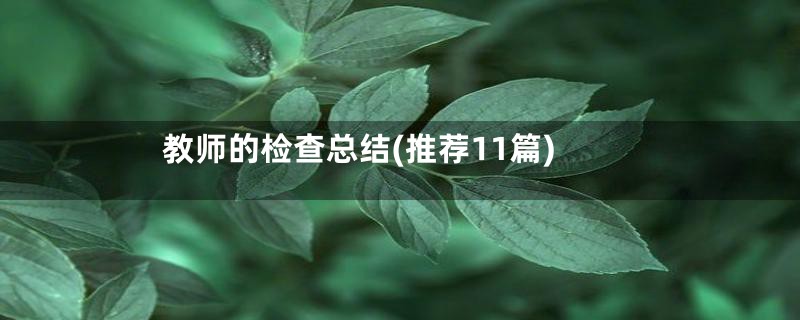 教师的检查总结(推荐11篇)
