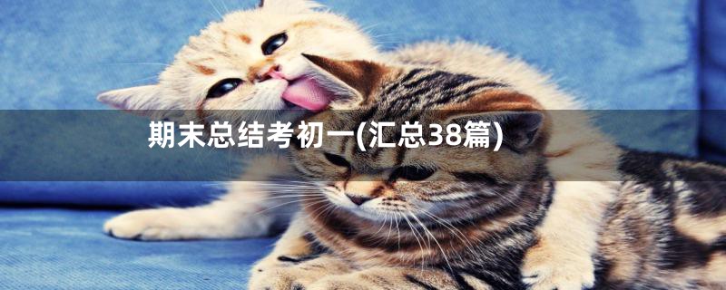 期末总结考初一(汇总38篇)
