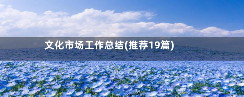 文化市场工作总结(推荐19篇)