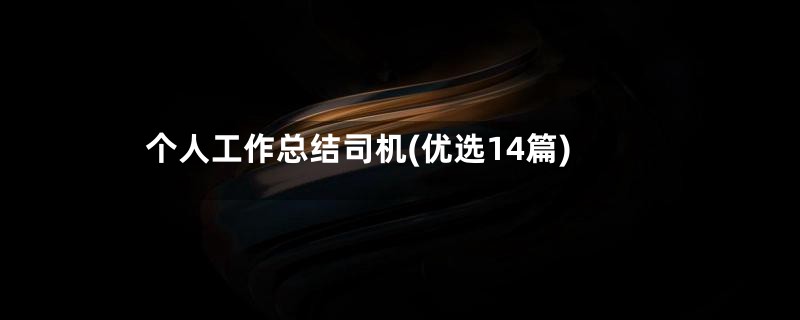个人工作总结司机(优选14篇)