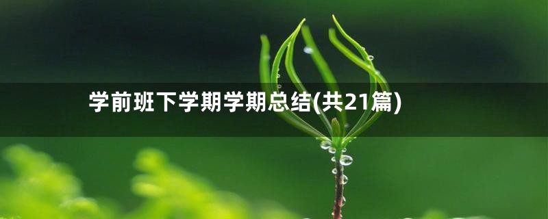 学前班下学期学期总结(共21篇)