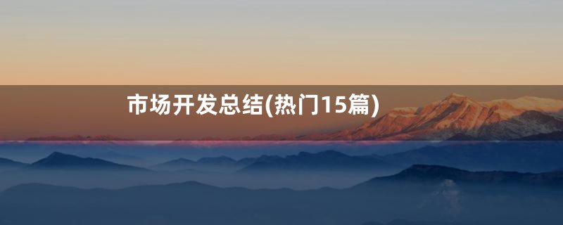 市场开发总结(热门15篇)
