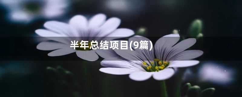 半年总结项目(9篇)