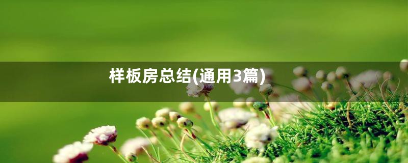 样板房总结(通用3篇)
