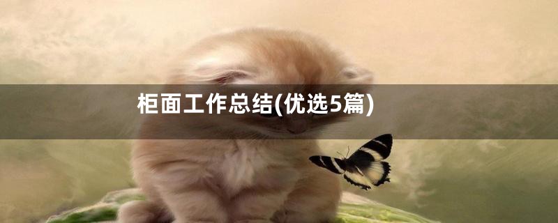 柜面工作总结(优选5篇)